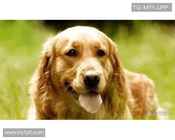 金毛发型最帅的足球球星盘点 谁才是球场上的金发男神